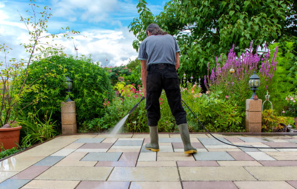 Best Winterizing Services  in Lakewood, OH